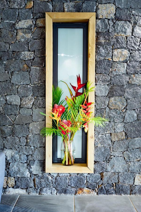 Villa Fleur De Jade Saint-Louis Extérieur photo